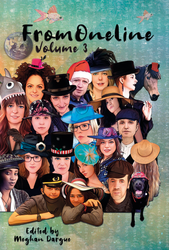 FromOneLine - Volume 3 - Front Cover (Everyone wore a hat) - featuring authors, cartoonified, all wearing hats!